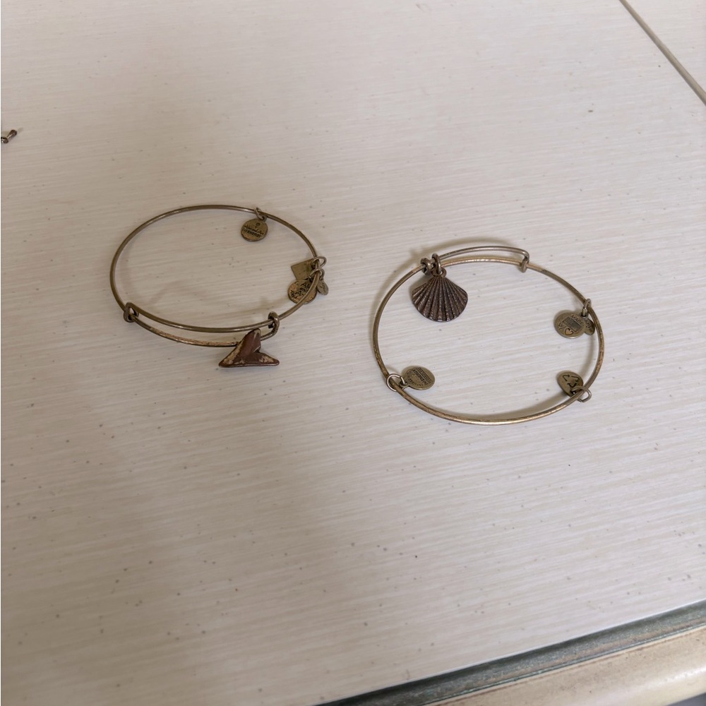 alex and ani bracelet set Of 2 (shark Tooth, Shell)